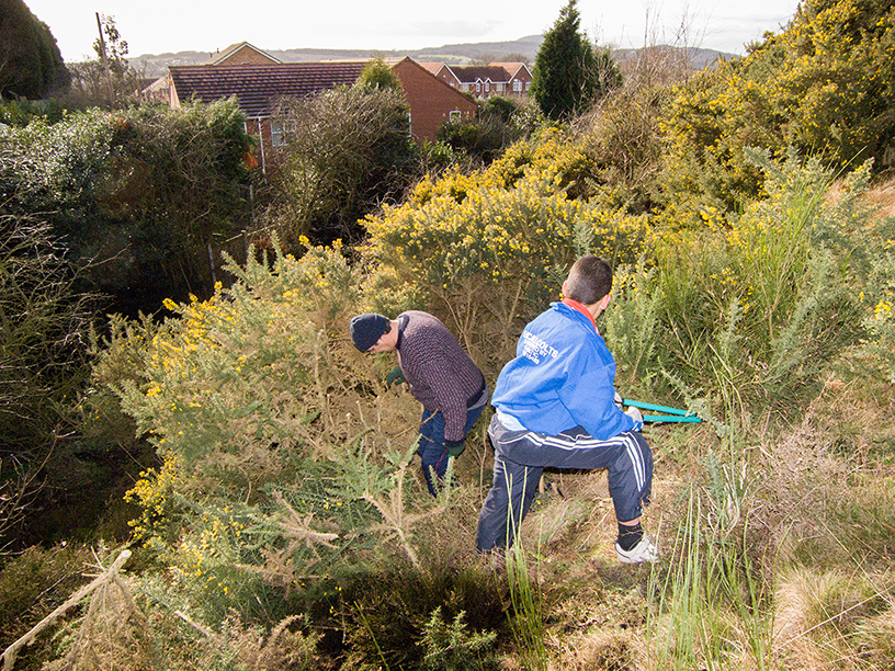 Paddock Mound, Ketley